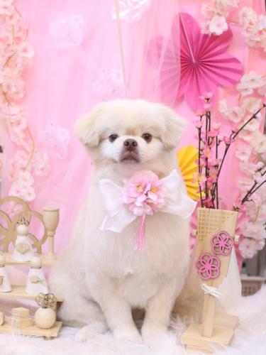 20250313琥珀くん